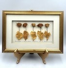 Meo Hand Crafted Dried Roses Botanical Art Gold Tone Framed Picture Signed Meo