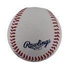 Fernando Cruz New York Yankees Autographed Signed Omlb Baseball  cx Auth 