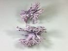 Two Genuine Natural 7    Purple Coral  allopora Californica 