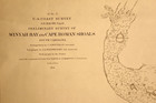 1854 Nautical Chart U s  Coast Survey   Winyah Bay And Cape Roman Shoals  Sc