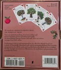 Tree Magick Oracle Deck   Guidebook By Gilliam Kemp