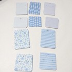 100 Earring Jewelry Display Cards