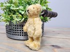 Vintage Steiff Original Teddy Bear 1960s 3 5  Mohair Blonde