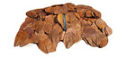 Best Indian Almond Leaves Catappa Ketapang Leaf Shrimp Betta Fish Aquarium Care