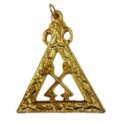 Treasurer Royal Arch Masonic Officer Jewel Gold Plated Crossed Keys Triangle Reg