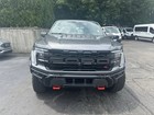 2025 Ford F-150 Raptor R