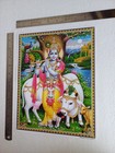 Lord Shri Krishna With Divine Cow - Normal Poster 8 5x11
