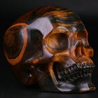 3 5  Tiger Iron Eye Carved Crystal Skull  Realistic  Crystal Healing