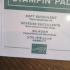 Stampin  Up Classic Ink Pad Soft Succulent Water Based Factory Sealed Retired