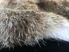 1 X Tanned Rabbit Skin Hide Pelt For Craft Animal Fur Decor Natural 8  -14  
