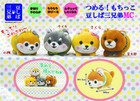 Amuse Mochikko Mameshiba San Kyodai Shiba Inu Dog Mochi Soft Plush Charm Japan