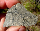 8 69 Grams 52x36x3mm Nea 083 Lunar Meteorite Slice Of The Moon With A Coa