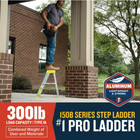 2 Ft  Aluminum Step Ladder  8 Ft  Reach Height  With 300 Lbs  Load Capacity Type
