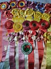Hope Ranch Riding Club Montecito Trails Santa Barbara County Horse Show Ribbons