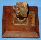 Brass Eagle Claw With Culebra Cut Rock From Panama Canal Zone - P p i e  1915