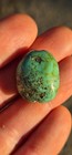 Enormous Turquoise Drilled Round Rough Bead 6 5 Grams Dark Blue Green 32 Carats