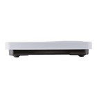 Battery Free Analog Scales For Body Weight  330lb Capacity  Easy To Read
