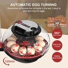 12 Eggs Incubator Automatic Turning Chicken Hatcher Incubators For Egg Hatching