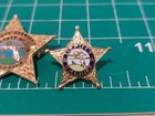Vintage Mini Star Badge 1   Deputy Sheriff State Of Florida Tiny Gold Tone Lot