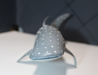 Schleich Whale Shark Toy 16076 New With Tag Free Shipping