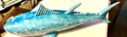 Blue Ceramic Decorative Detailed Free Standing Shark 15    Long