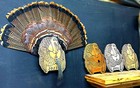 Life Like Wooden Turkey Mount  Plaque Personalization Available Upon Request 