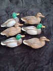 Flambeau 6 Mallard Duck Decoys Drake Hen Plastic 2004