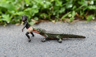 Rare 1900s Austrian Vienna Cold Painted Bronze Figure Of Alligator Biting Person