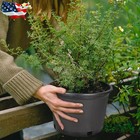 1 2 3 5 7 10 20 25 Gallon Plastic Garden Plant Nutrition Pots Flower Nursery Pot