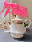 Vintage English Bone China Teapot Royal Albert Old Country Roses Plate Cottageco
