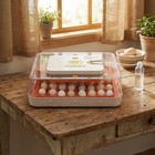 56 Egg Incubator With Auto-turning  Temperature   Humidity Control 110v 85w Us