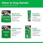 Nutri-vet Enzymatic Toothpaste For Dogs  Non-foaming Chicken Flavor  Prevent Pro