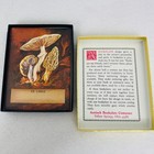 Vintage Antioch Bookplate Company Mushroom Ex Libris Book Plates Boxed Set Usa