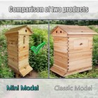 Auto Shed Full Set 10 X Beehive Honey Hive Frame  mini Beekeeping Brood Box
