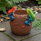 Frog Flower Pot Retro Finish Resin Frog Pot Cute Design For Windowsill  Desktop