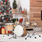 5-piece Complete Junior Drum Set With Genuine Brass Cymbals - Advanced Beginner