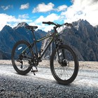 24  Mountain Bike For Boys   Girls - 21 Speed  Steel Frame With Dual Disc Brakes