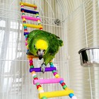 Colorful Bird Ladder Toy 12 Step Wooden Climbing Swing Parrot Cage Toy Usa 