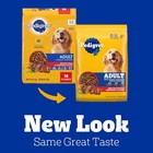 Pedigree Complete Nutrition Adult Dry Dog Food  Grilled Steak   Vegetable Flavor