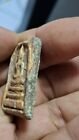 Thai Amulet Buddha Phra Somdej Lp Toh Wat Rakang Phim Yai Original Antique