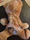 R  Dakin   Co 1976 Teddy Bear Plush Stuffed Beanbag Baby Bearfoot - With Tag