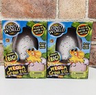 2x Dino World Megga Grow Egg Place In Water Watch It Hatch Dinosaur
