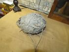 Bald Faced Wasp Nest On Branch Leaves Hive Hornet Bee Paper Taxidermy 9   x 6 
