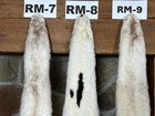 Liquidation Sale - Xxxl Select Ranch Mink Pelt  Commercial Garment Tanned