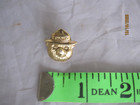 Smokey The Bear Face Lapel Pin Gold Toned 