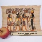 Egypt Papyrus Paper Prints Set 2 King  Queen  Anubis Tomb Art 15x12 Painted