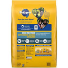Pedigree High Protein Chicken turkey Flavor Adult Dry Dog Food - 18lbs