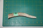 Xsmall Upper Elk Antler Dog Chew  1   Bone Chews Moose Treats Deer 1011