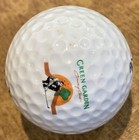 Green Garden Country Club Golf Course Logo Golf Ball Frankfort  Il