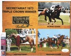 Ron Turcotte Autographed Secretariat 1973 Triple Crown Framed Print Display Jsa